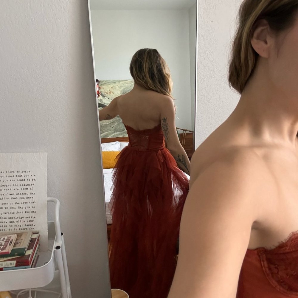 x REVOLVE Bustier Gown - Picture 4 of 6